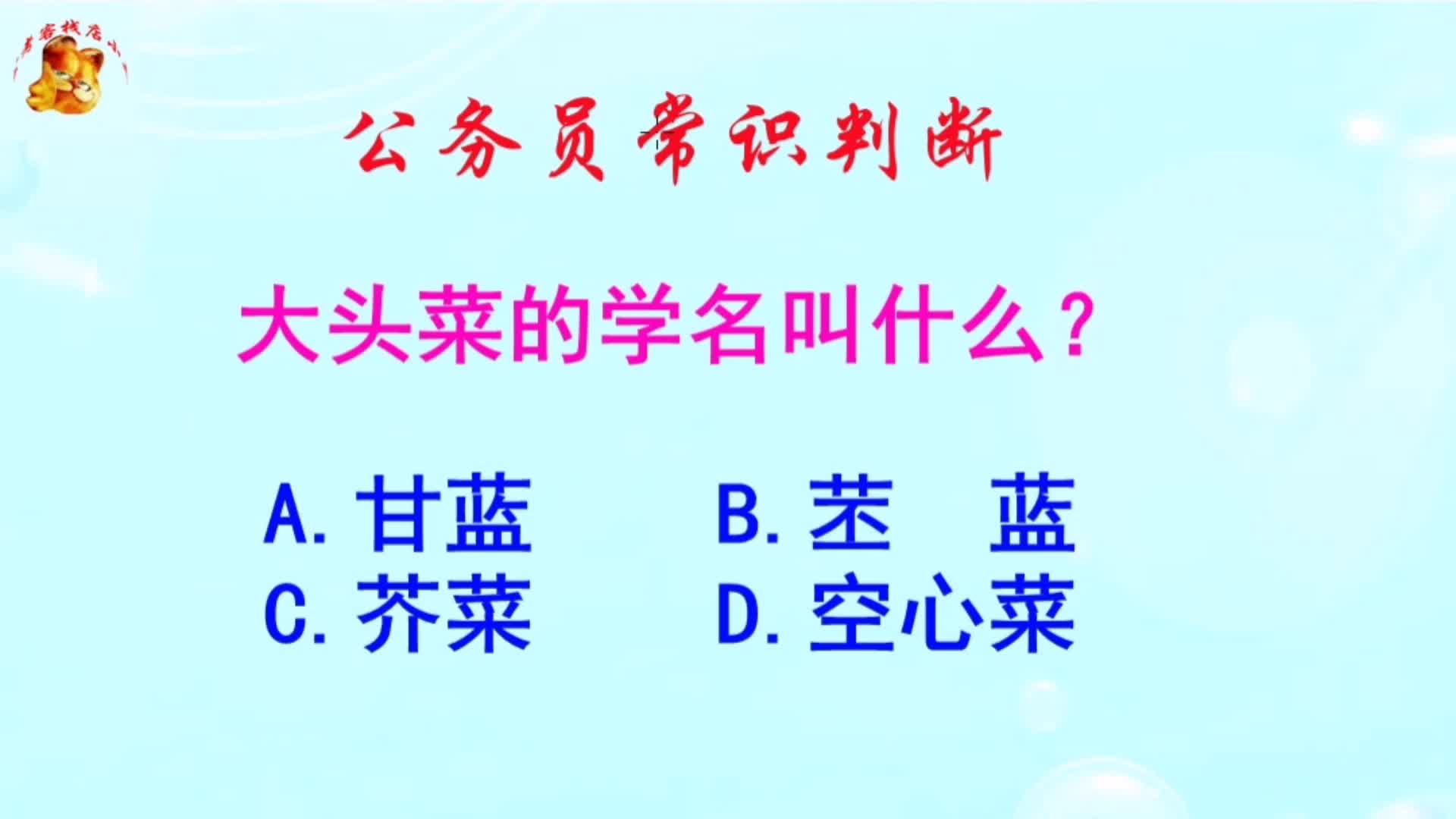 公务员常识判断，大头菜的学名叫什么？长见识啦